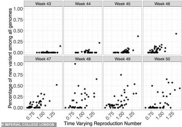 Graphs from the new study show how, over  eight weeks, the new variant became increasingly common (dots higher on each chart) in the UK and became more transmissible (dots further the right on each chart show rising  R numbers, or transmission rates