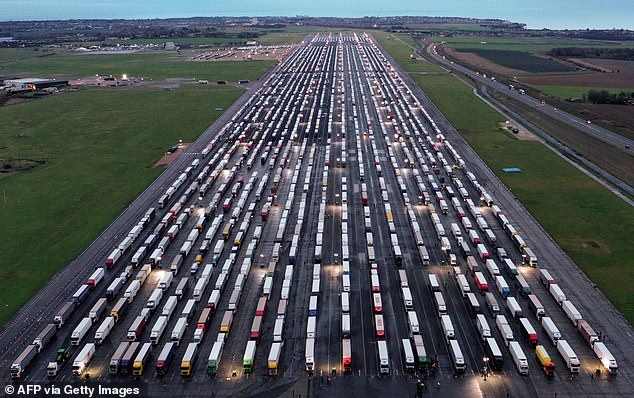 The coronavirus disruption saw France shut the border last month following the discovery of '70% more infectious' mutant Covid-19 strain. Pictured: An aerial view shows lines of freight lorries and heavy goods vehicles parked at Manston Airport last month