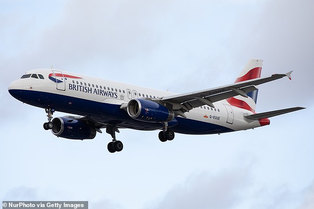 He clung to the undercarriage of a British Airways jumbo jet and survived an 11-hour, 5,639-mile flight from Johannesburg to London (file image)