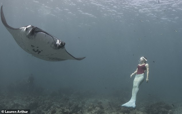 Swimming with the manta rays. Lauren recounted how she once risked her life deep-diving to save a menta ray that was tangled in a fishing net in Maldives