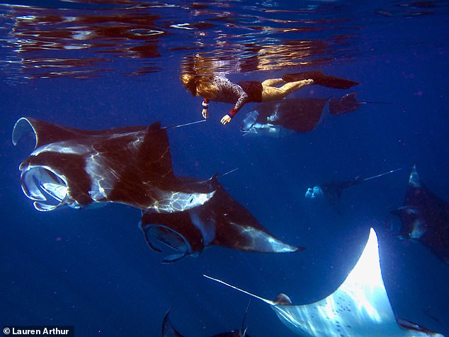 Mantas rays and Lauren in the Maldives. She once dived without equipment to save a manta ray