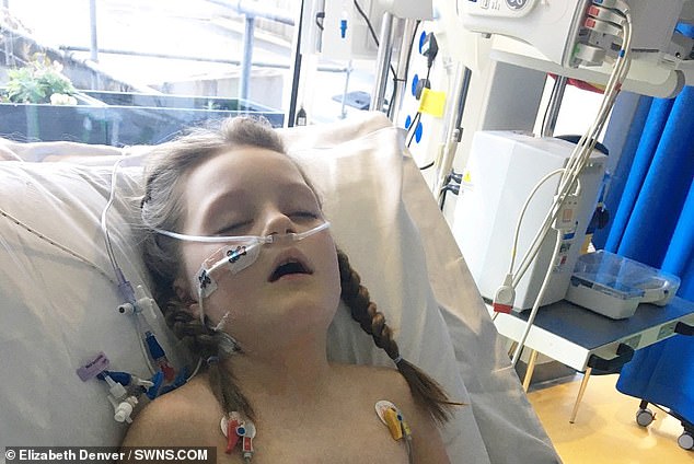 Blood tests revealed Millie's liver and kidneys were struggling and she was on fluids within a couple hours of arriving at hospital