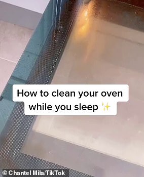 Chantel shared her simple solution for cleaning your oven (pictured)