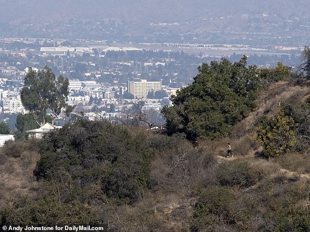 Tanya was incredibly fit and would hike four miles a day, five days a week in the striking Hollywood Hills close to her Laurel Canyon home. Pictured: The hiking trail Tanya usually walked