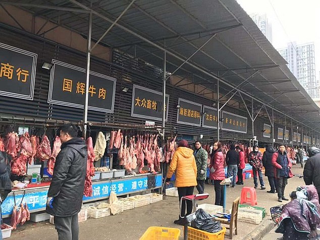 The World Health Organization (WHO) has named the 10 scientists it is sending to coronavirus ground zero Wuhan to probe the origins of the disease. It is thought the virus may have jumped into humans at the Wuhan seafood market (pictured)