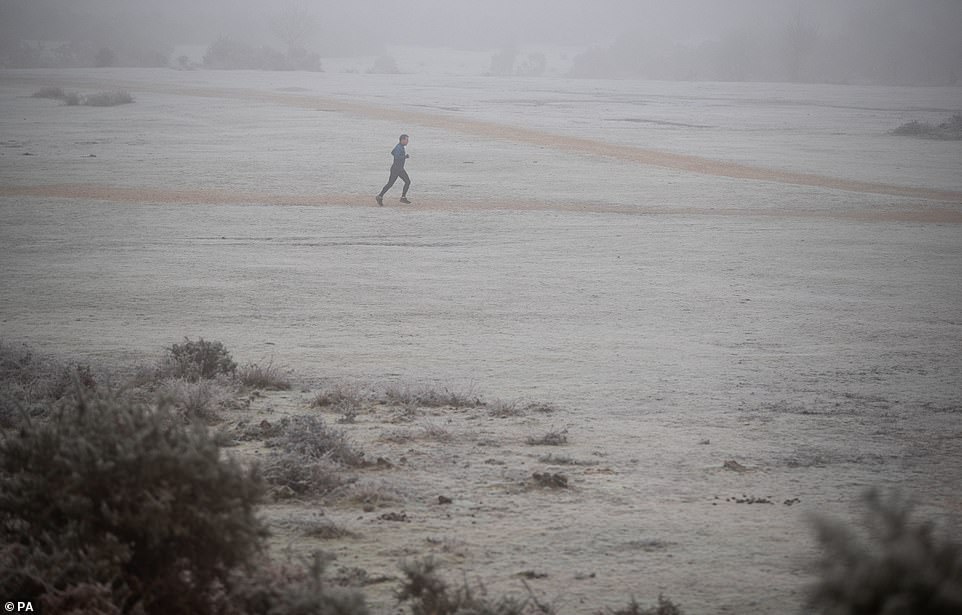 Foggy conditions, like those seen on Rockford Common in New Forest, are expected to last into weekend, but freezing temperatures may ease off, according to the Met Office