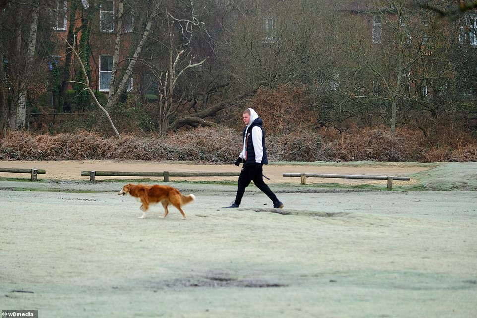 Dog walkers were out on the frosty grounds of the New Forest country Park in Hampshire this morning, despite freezing temperatures across swathes of Britain