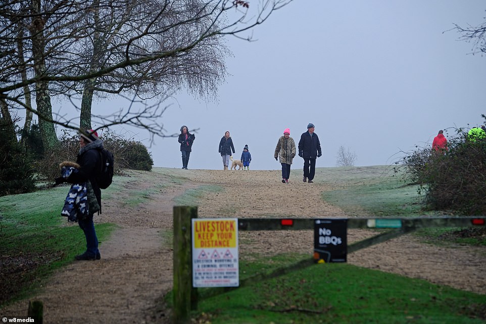Walkers braved fog and frost in the New Forest, with the Met Office predicting more cold temperature tomorrow, though it could start to ease off by the weekend