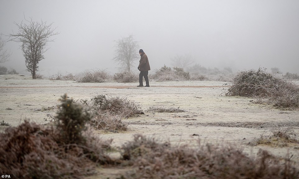 Rockford Common in the New Forest had a frosty and foggy start to Thursday morning as Britain's cold snap continues