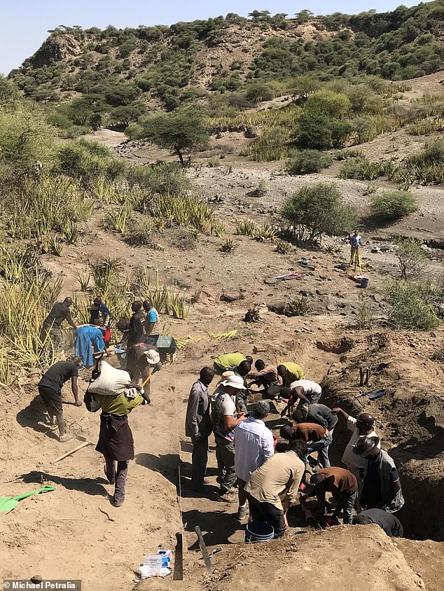 Excavation at Ewass Oldupa uncovered the oldest Oldowan stone tools ever found at Oldupai Gorge, dating to ~2 million years ago and fossils of mammals, reptiles and birds