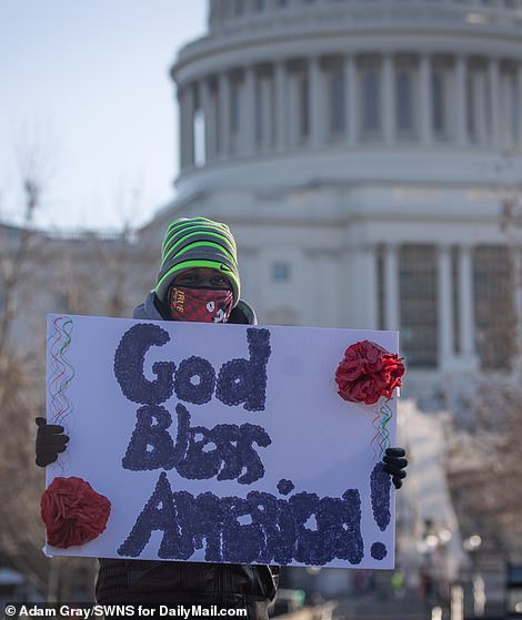 One woman was pictured standing in front of the iconic Capitol dome with a placard reading: ¿God Bless America¿