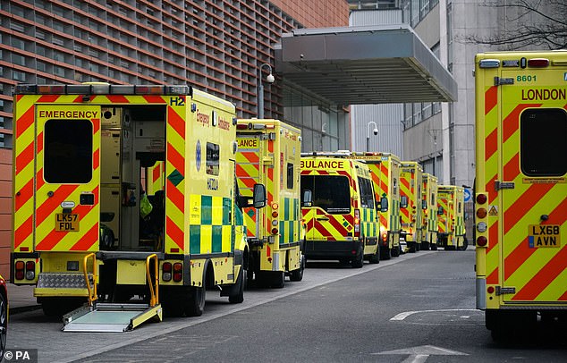 Britons not taking the coronavirus lockdown seriously could soon cause 'avoidable deaths' when critically ill patients are turned away at the hospital door, Professor Chris Whitty warned in a scathing article for the Sunday Times. Pictured, ambulances outside the Royal London Hospital on January 8