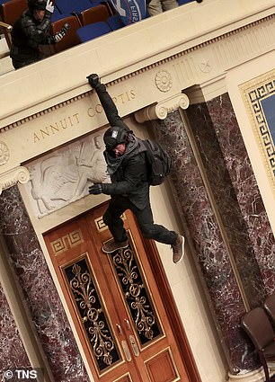 Another protester is seen hanging from the balcony in the Senate chamber on Wednesday
