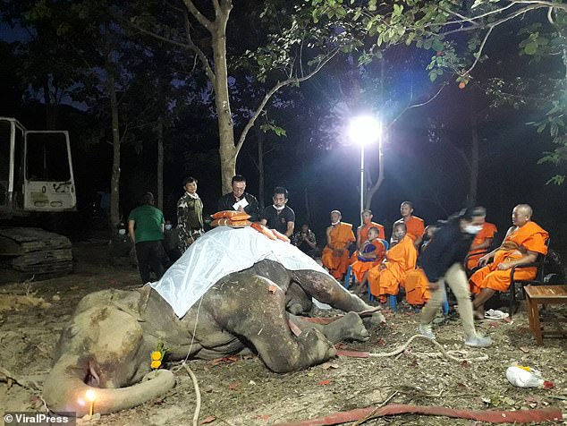 Suporn Polpan, the head of Kui Buri National Park, said they did everything they could to save the jumbo. Pictured: Locals grieve over the death of the elephant and lay candles and flowers by the animal
