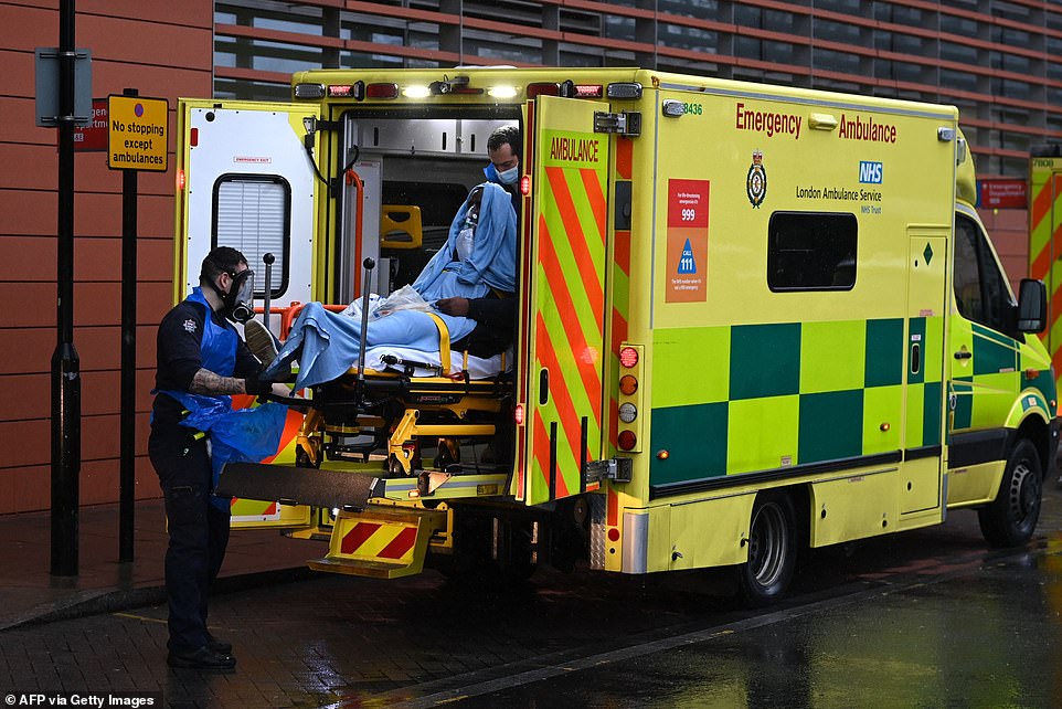 In the worst-hit London boroughs, the rate could be as high as seven in every 1,000 people, prompting fears London hospitals will be pushed to capacity. Pictured: A medic unloads a patient from an ambulance at the Royal London hospital in east London this morning