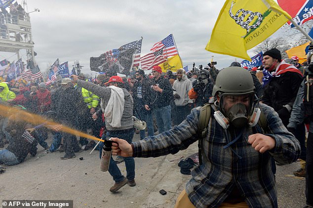 The crowd sprayed bear mace at the officers, which is far stronger than any other type of mace