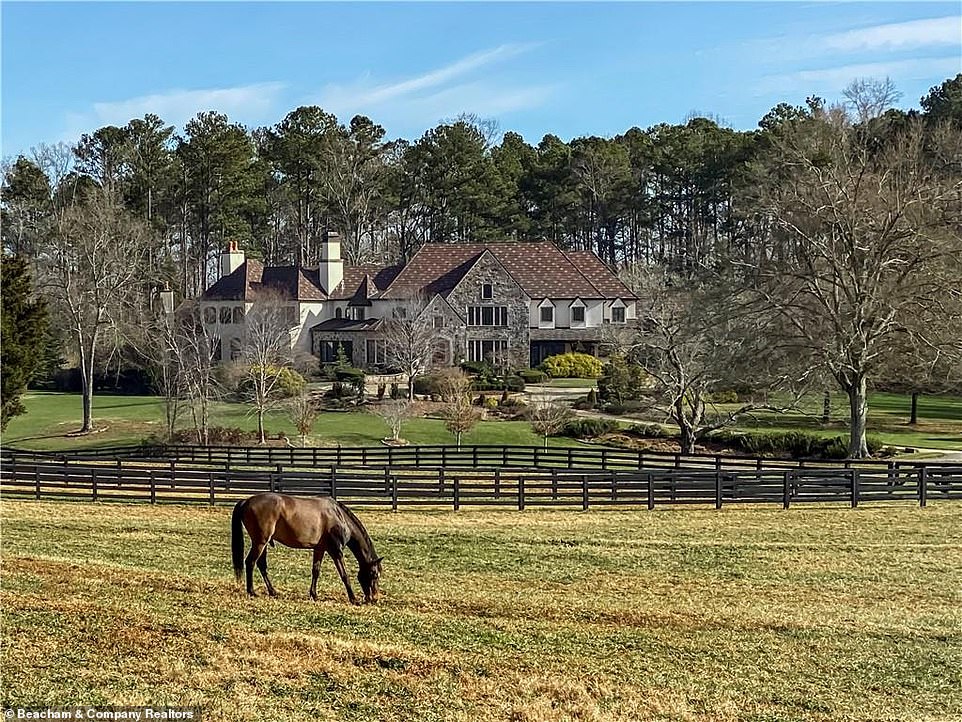 Pastoral: The horses are also able to wander amid a large fenced-off area of the estate, right next to a tree-lined road that leads visitors up to the main house