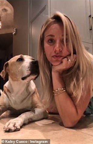 Her world: To her Instagram stories, the Flight Attendant star posted a handful of cute snaps of the pup throughout the years