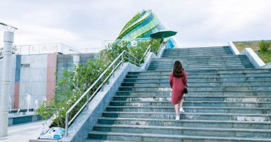 Is it good for your body to exercise by climbing stairs? | The State