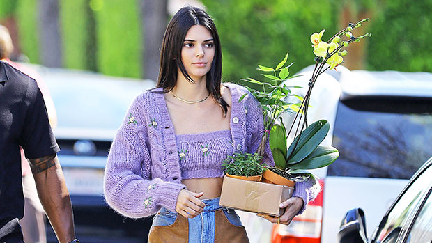 25 Hottest Pics Of The KarJenners In Crop Tops: Kim, Kendall & More