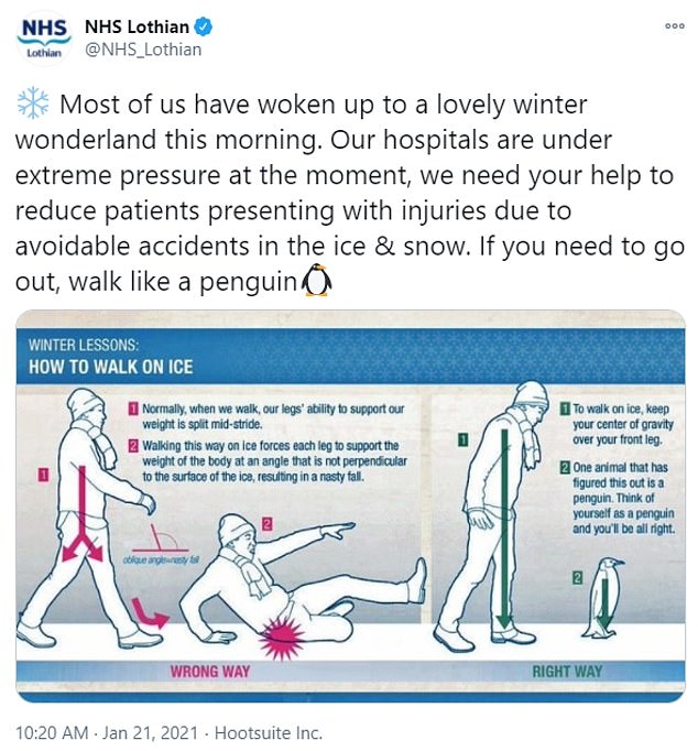 One trust to share the advice, NHS Lothian, says that by walking like a penguin people in Scotland can help keep patients out of hospital through 'avoidable accidents in the ice and snow'