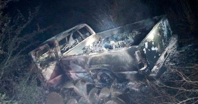 Tamaulipas: The bodies of 19 murdered people found in northeastern Mexico burned | The State