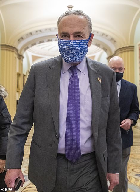 Key moment: House majority leader Chuck Schumer (pictured) and minority leader Mitch McConnell have still to strike a power-sharing deal but have done a deal on the timing of the impeachment trial