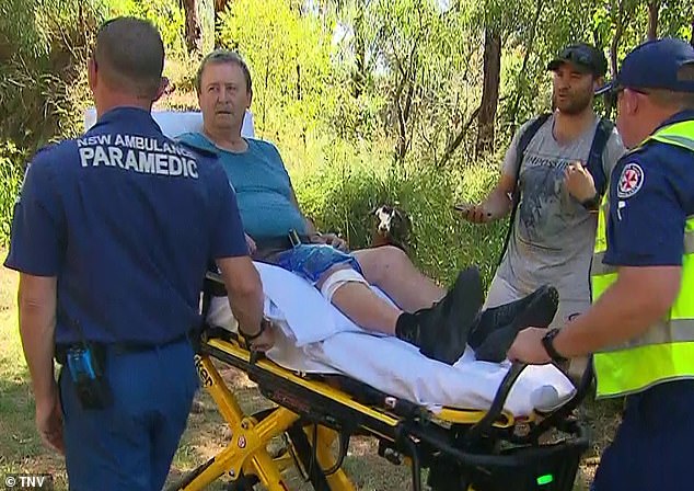 The injured bush walker (pictured, second from right) was taken away to Nepean Hospital in a stable condition by paramedics as the goat (pictured in the middle) watched on