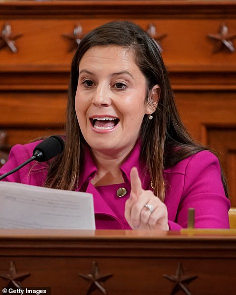 Rep. Elise Stefanik, the Republican representative for New York's 21st congressional district, blasted the decision as 'inexcusable and un-American'