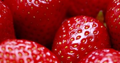 6 effects of strawberries on your body | The State