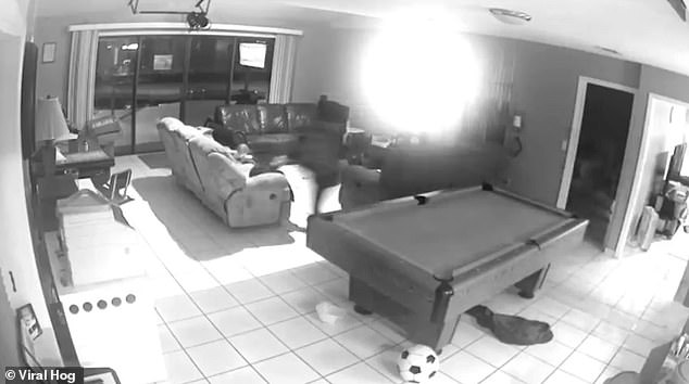 Amazing mother sprints across living room to intercept her baby daughter before she falls
