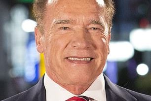 Arnold Schwarzenegger slams Republicans trying to overturn Biden win