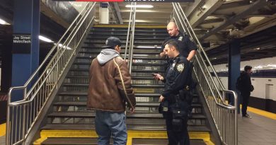 Attempted murder in the New York Subway: Hispanic accused of pushing another passenger onto the tracks | The State