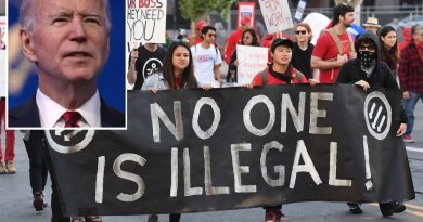 Biden’s reform would grant citizenship to undocumented immigrants with 10 years in the country, ‘dreamers’ and people with TPS | The State