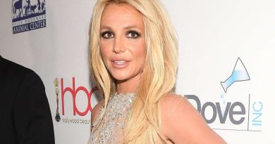 Britney Spears’ Sister Jamie Points to ‘Killing Cats’ Car Brand Tesla | The State