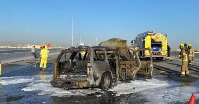 Car catches fire on Dubai’s Al Qudra Road