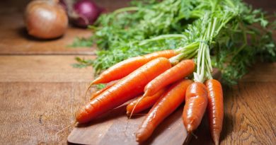 Crispy carrot sticks: the best snack to include in your diet | The State