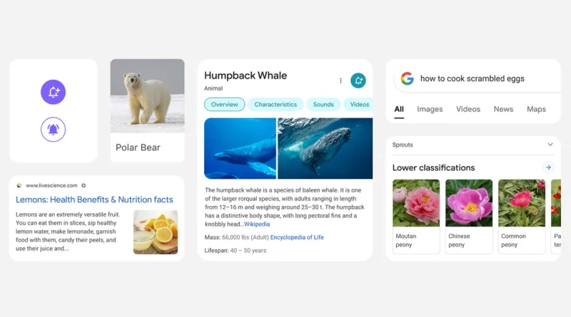 Google Search on Mobile to Get Redesign With Focus on Important Information