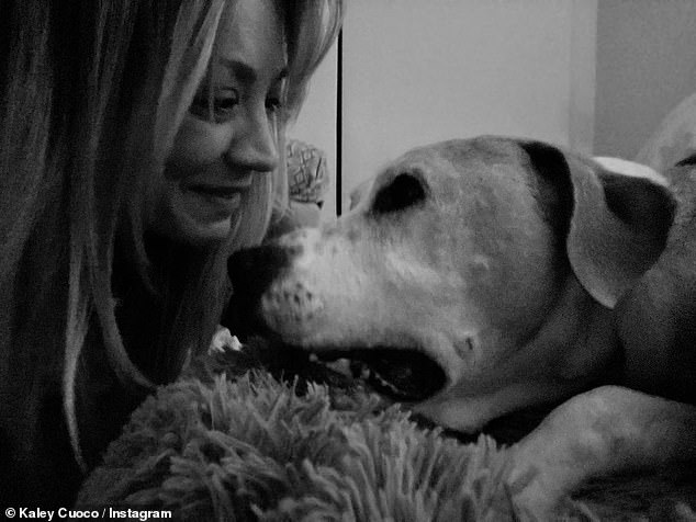 Heartbroken: Kaley Cuoco announced on Saturday that her dog Norman has died