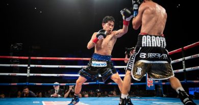 Mexican lightweight champion ‘Rey’ Martínez secures high-impact fight against Puerto Rican McWilliams Arroyo | The State