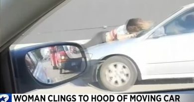 Moment pet shop worker clings to the hood of a speeding car