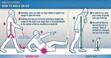 NHS trusts in Scotland urge people to ‘walk like penguins’ to prevent falls in the snow 