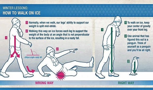 NHS trusts in Scotland urge people to ‘walk like penguins’ to prevent falls in the snow 