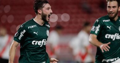 Palmeiras crushes River Plate 0-3 in Argentina | The State