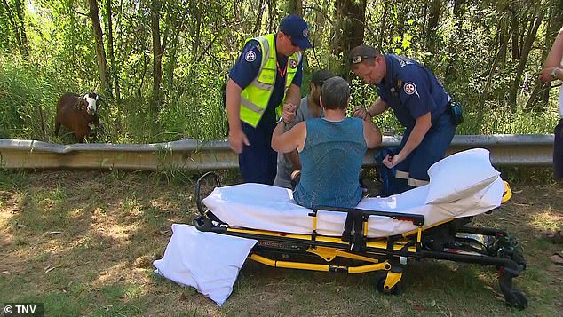 Rampaging goat ATTACKS a walker in the Blue Mountains leaving him with horrific injuries