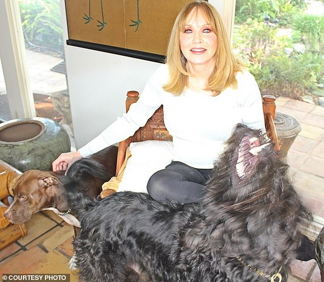 Smiling at her beloved pet dogs Socks and Muttley and posing in a mask with her African Grey parrot perched on her head, these are the poignant final photos of Bond girl Tanya Roberts