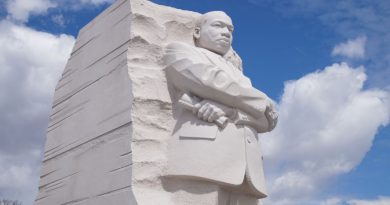 To the rescue of the ideals of Martin Luther King Jr. | The State