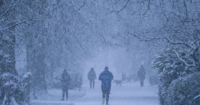 UK weather: Bookies slash odds on winter being coldest since records began