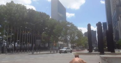 UN diplomat committed suicide in her apartment in New York waiting for 2021 | The State
