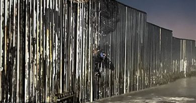 US border agents rescue a Mexican migrant, 25, after he was found hanging from wall in California 